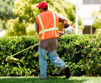 A&T Lawn & Shrub | Lawn Care, Lawn Maintenance, & Landscaping Services for Lancaster, SC