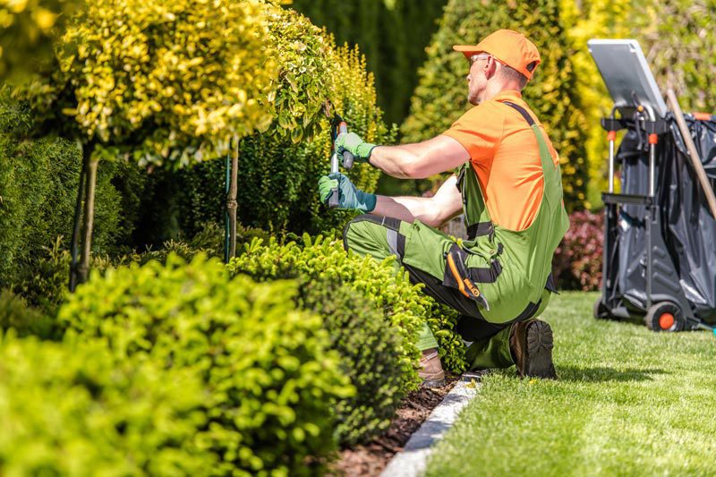 Wellington Landscapers